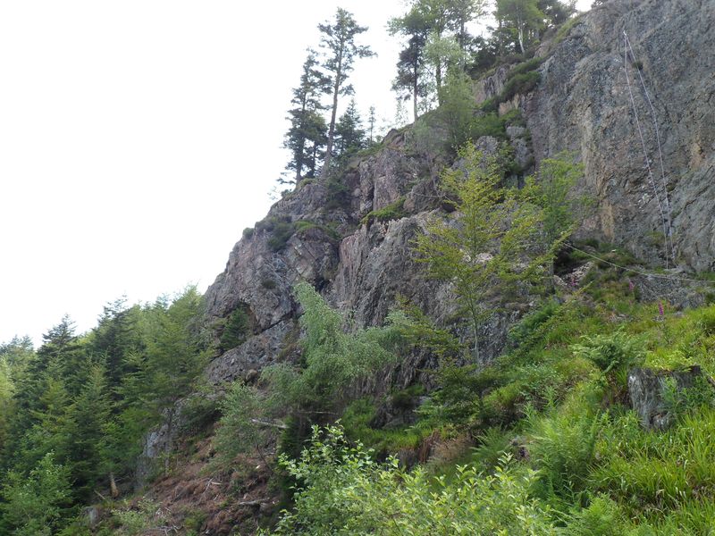 745000323_9.jpg