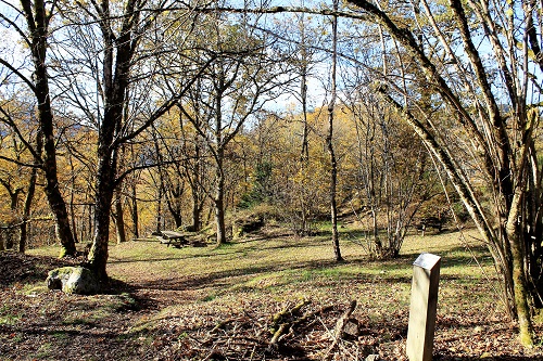 745004990_10.jpg