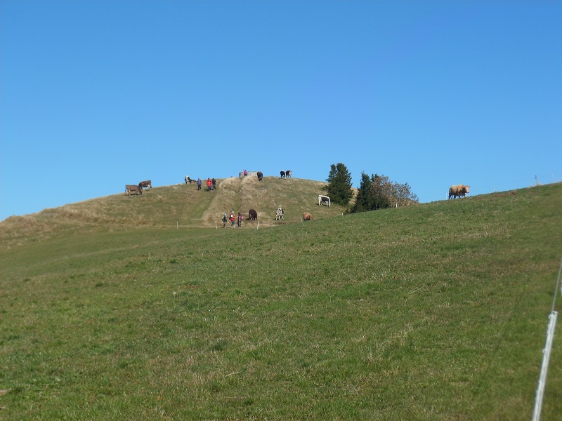 745000516_10.jpg