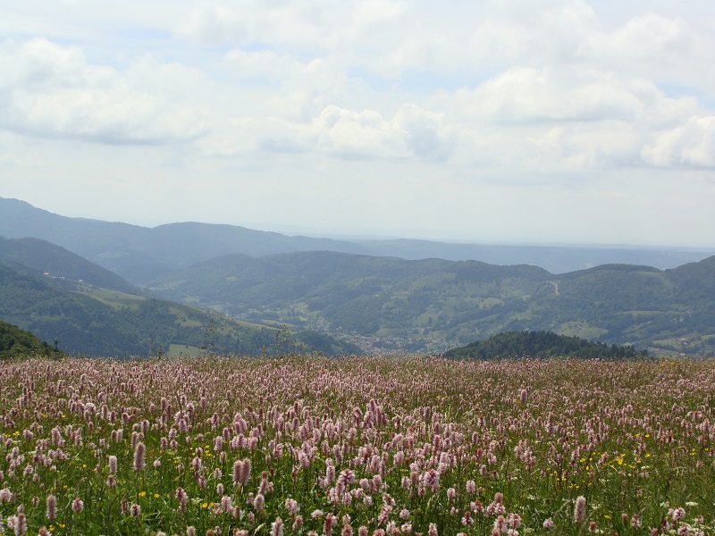 745000518_9.jpg