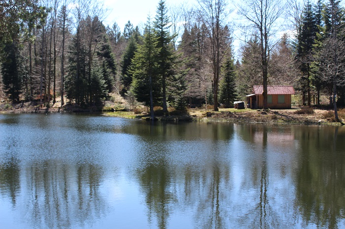 745005010_6.jpg
