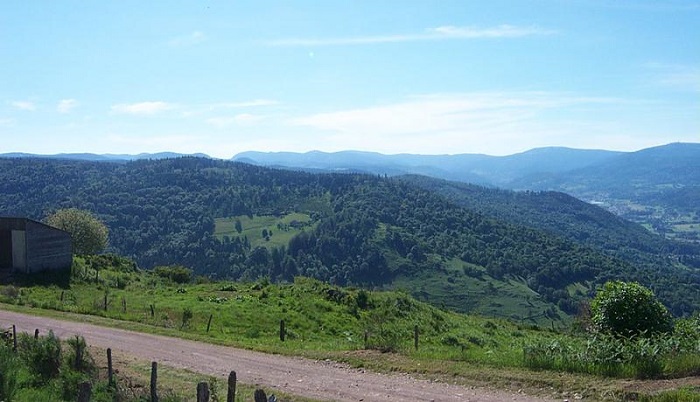 745004878_5.jpg