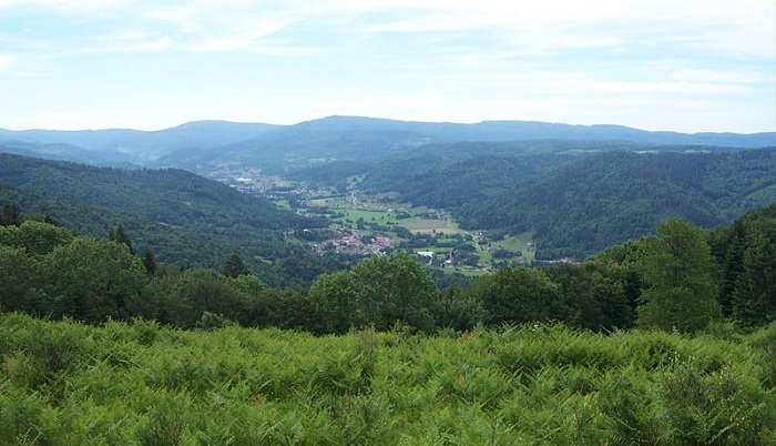 745004878_6.jpg