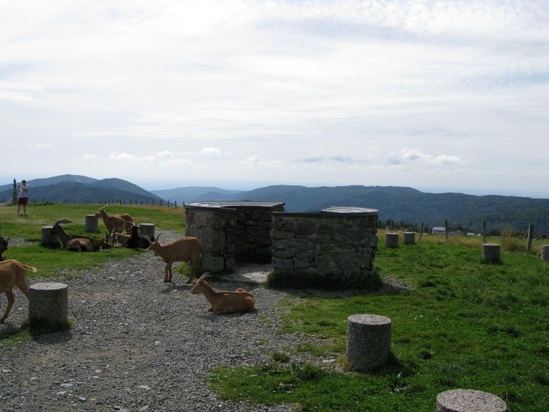 745000173_6.jpg