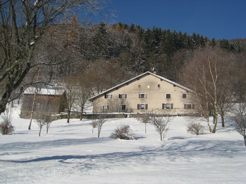 745000335_11.jpg