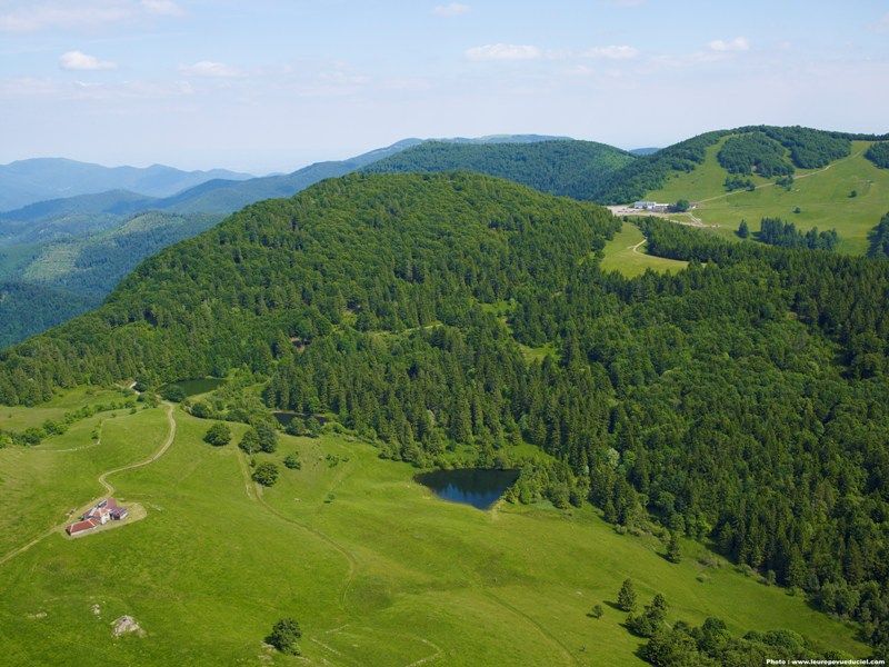 745000493_8.jpg