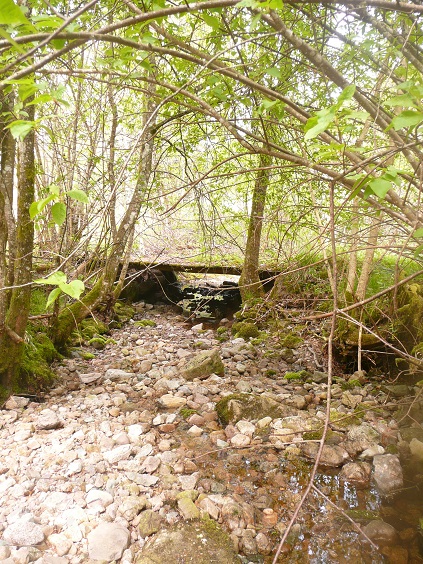745002117_10.jpg