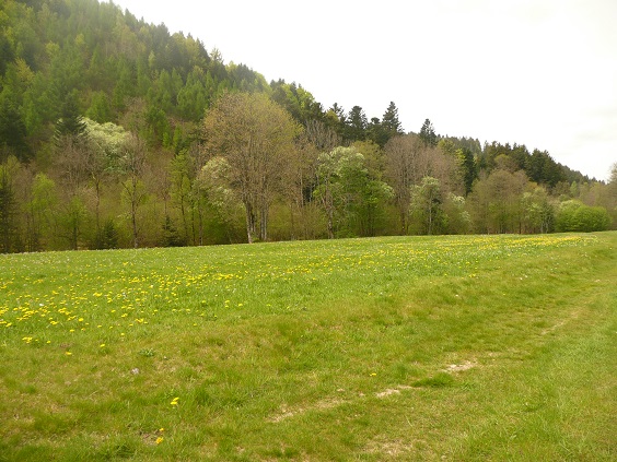 745002117_11.jpg