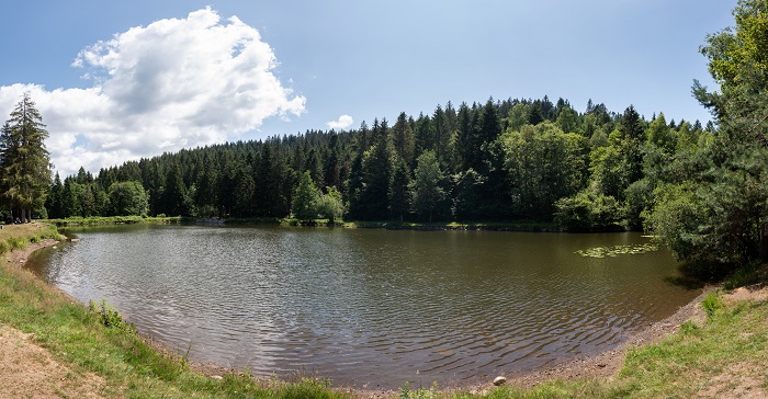 745005238_5.jpg