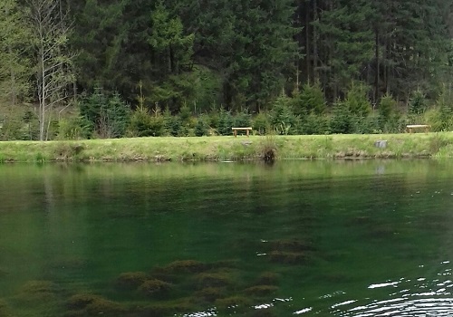 PÊCHE À L'ÉTANG DE MORTEVILLE SAINT MAURICE SUR MOSELLE