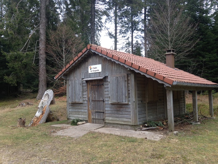 745005246_10.jpg