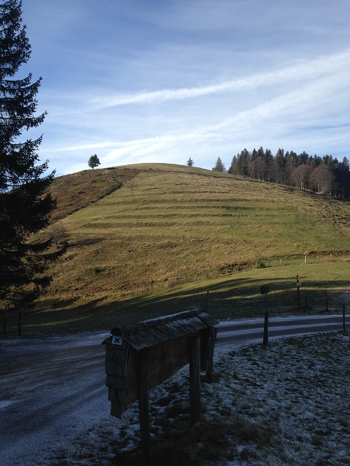 745005246_5.jpg
