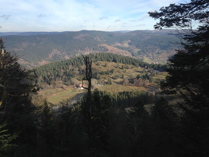 745005246_6.jpg