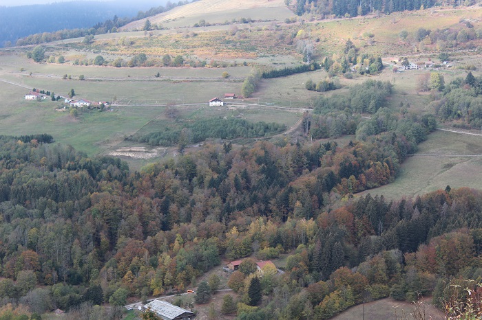 745005247_5.jpg