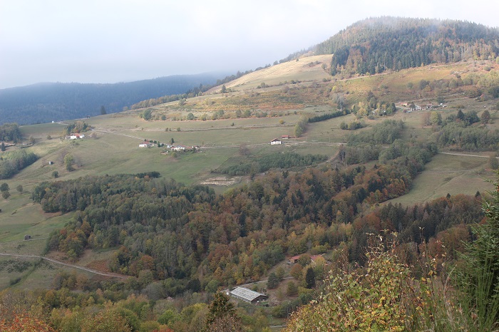 745005247_6.jpg