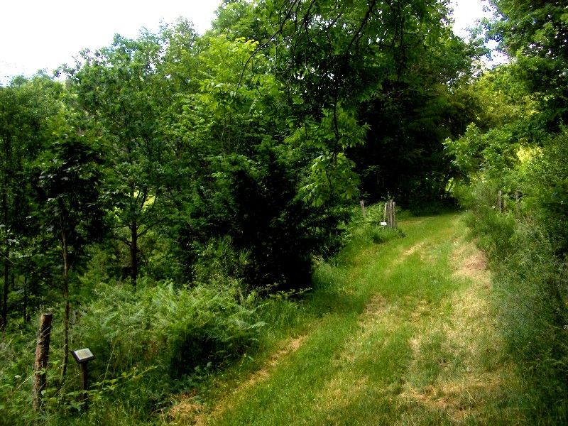 745000699_5.jpg