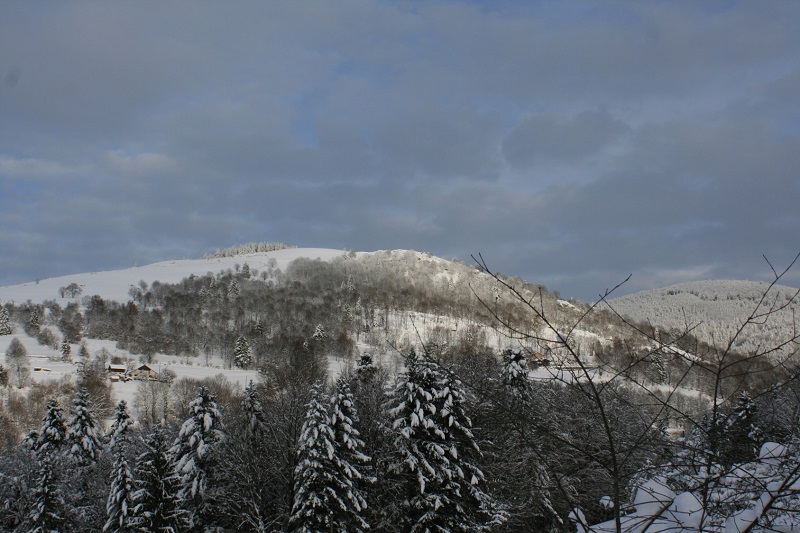 745003351_9.jpg