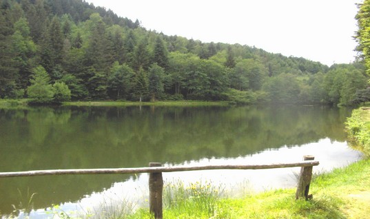 745000662_6.jpg