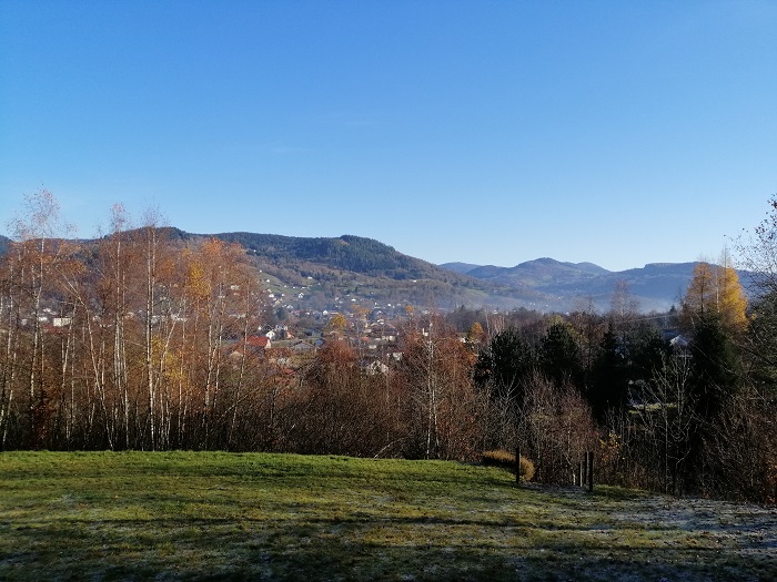 745005230_5.jpg