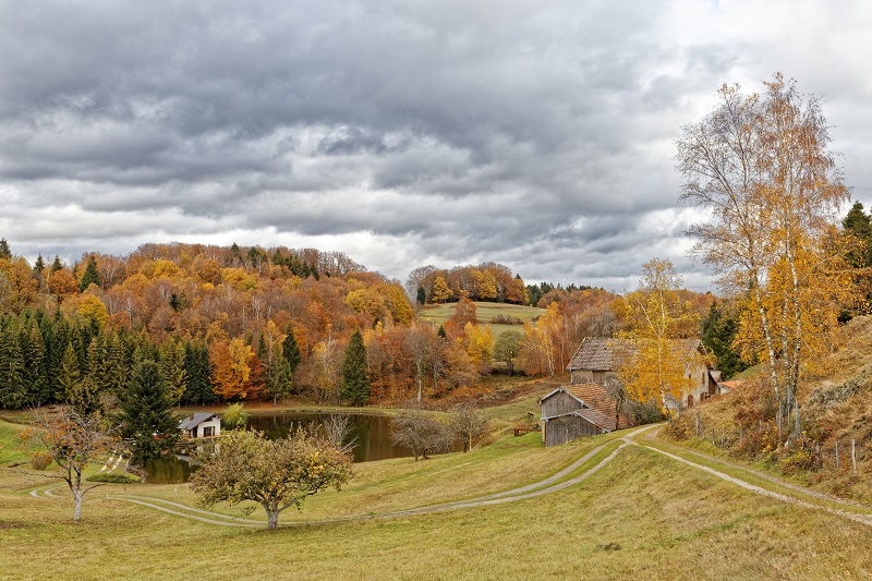 LE PLATEAU DES MILLE ETANGS SAINT MAURICE SUR MOSELLE