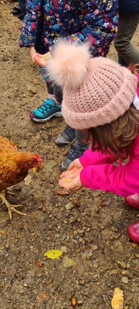 COMPLICITÉS ANIMALES - FERME PÉDAGOGIQUE VENTRON