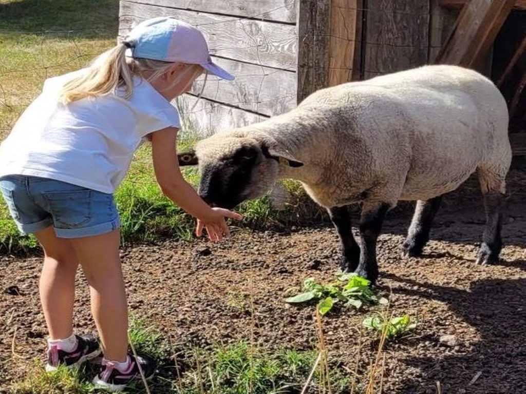 complicites-animales-ferme-pedagogique-ventron-3.jpg