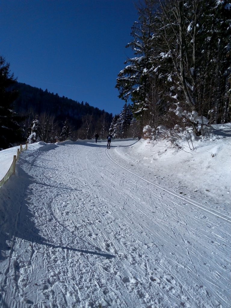 745000006_5.jpg