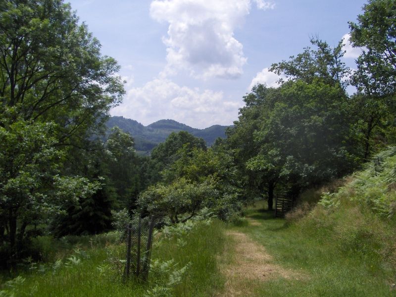 ARBORETUM FRESSE SUR MOSELLE