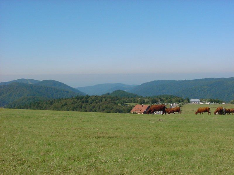 ballon-d-alsace-saint-maurice-sur-moselle-2.jpg