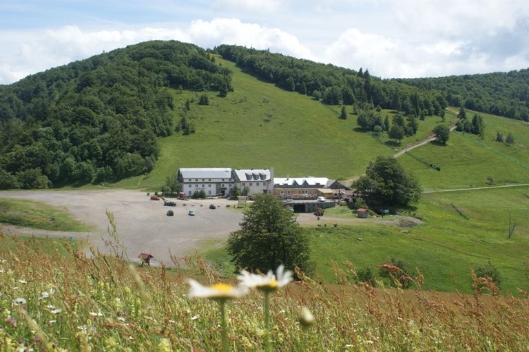 LE ROUGE GAZON ET LA CHAUME DES NEUFS BOIS SAINT MAURICE SUR MOSELLE