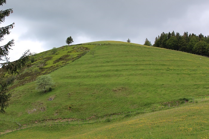 table-orientation-tete-des-champs-le-menil-3.jpg