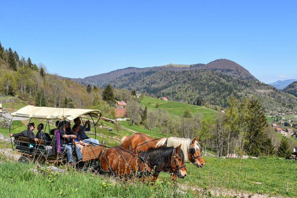 BALADE EN CALÈCHE BUSSANG