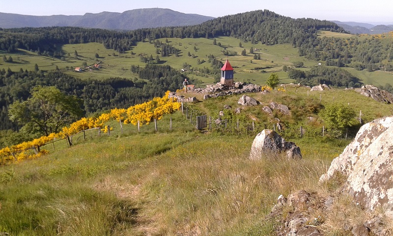 accompagnateur-montagne-randosudvosges1.jpg