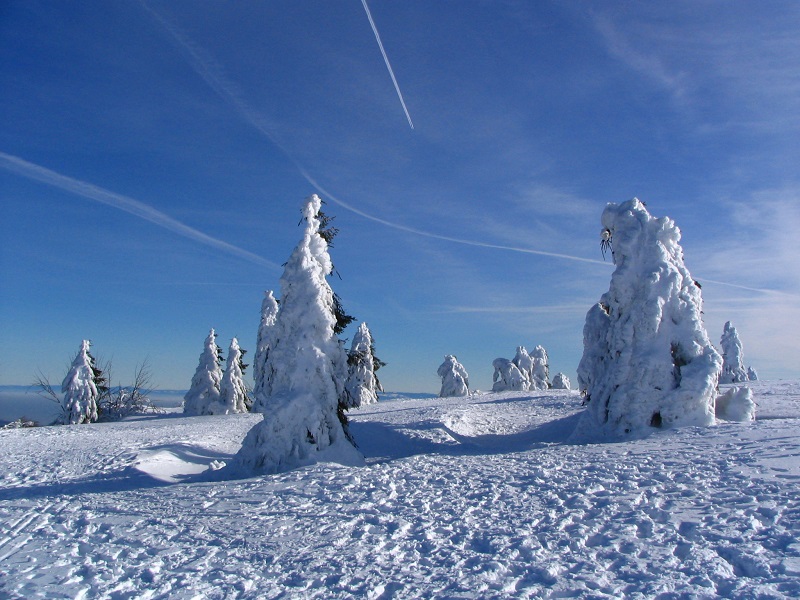 accompagnateur-montagne-randosudvosges10.jpg