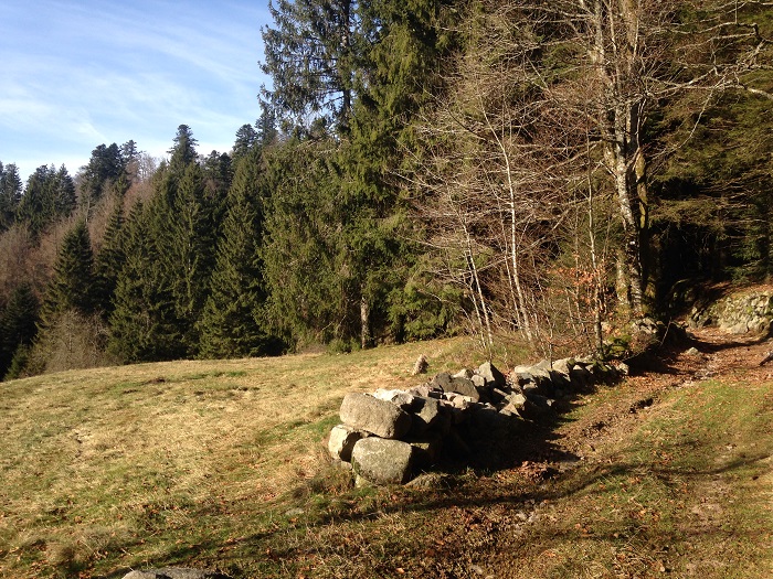 ITINÉRAIRE VTT N°4 - LA LOCHÈRE - DÉPART : COL DE LA LOCHERE FRESSE SUR MOSELLE