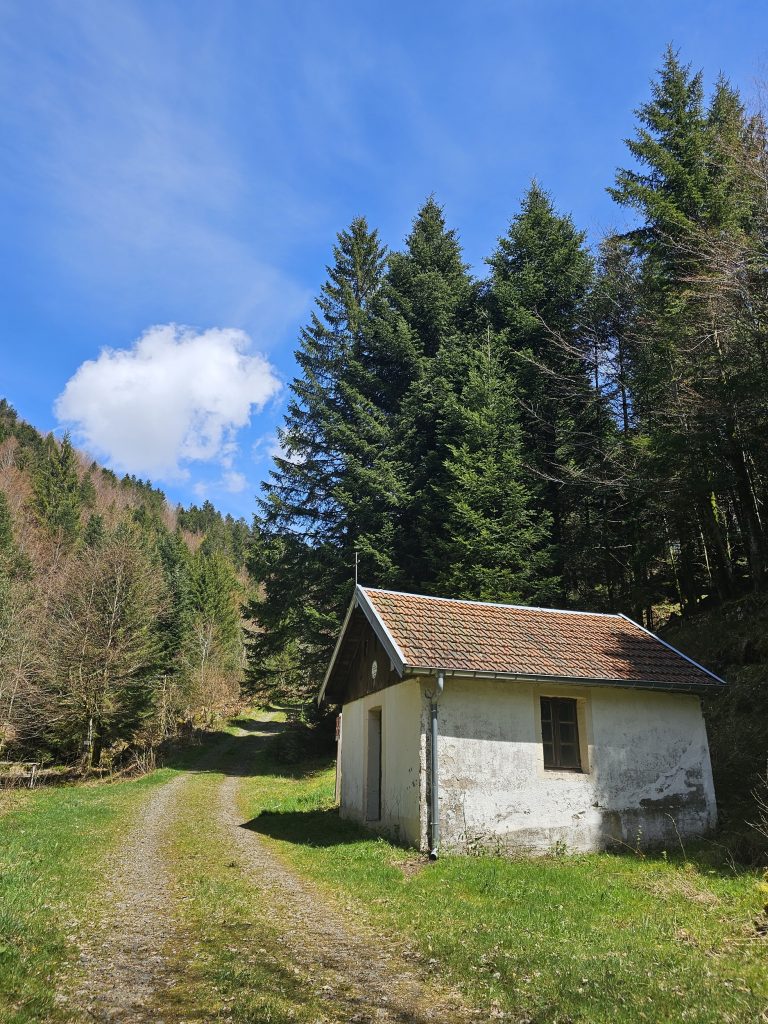 LA CHAPELLE BOTIOTTE SAINT MAURICE SUR MOSELLE