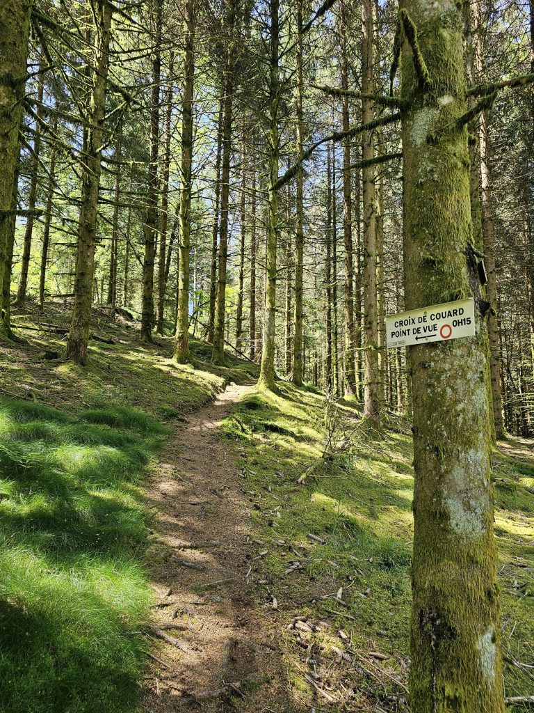 CROIX DE COUARD FRESSE SUR MOSELLE