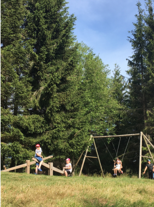 le-jumenterie-ballon-alsace-2.png