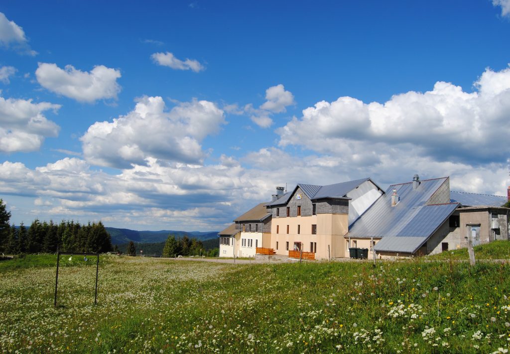 le-jumenterie-ballon-alsace-7.jpg