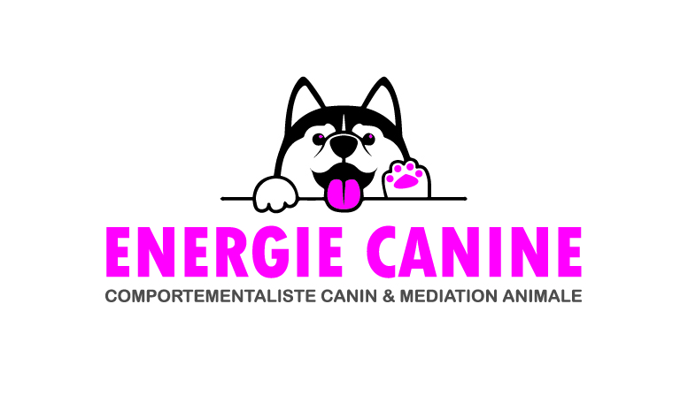 cani-rando-energie-canine-2.jpg