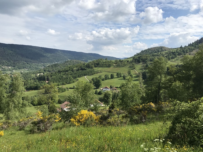 CHAMBRES D'HÔTES AUX DOUCES HEURES DES VÉS LE THILLOT