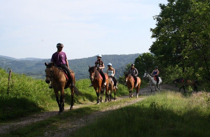 ECOLE D'EQUITATION DU CLOSEL LE THILLOT