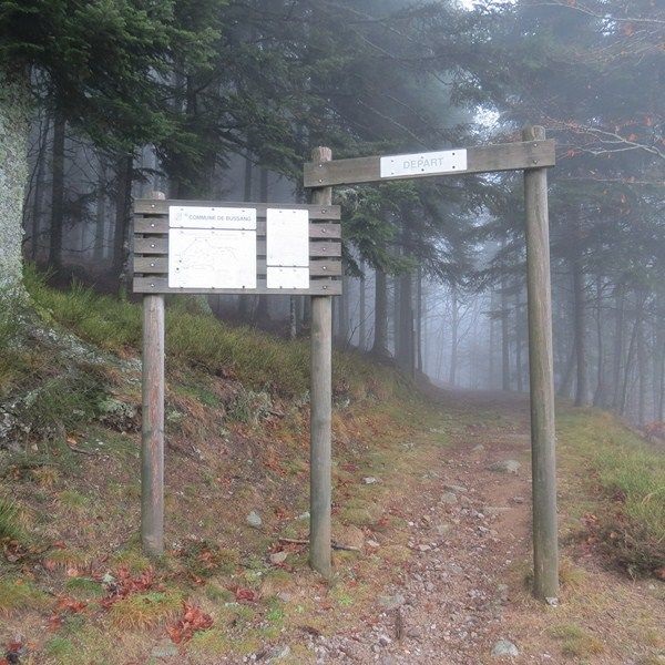 PARCOURS DE SANTÉ À BUSSANG BUSSANG