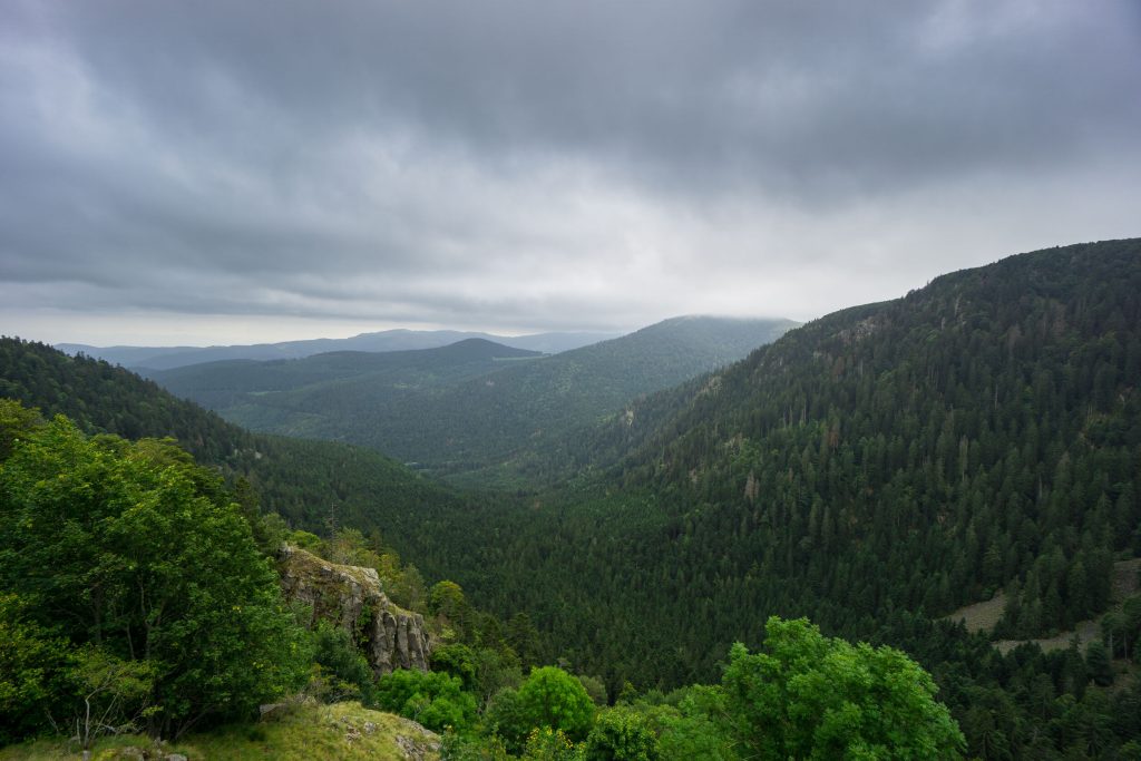 France - Rocky valley in forest and wooded landscape with rain c