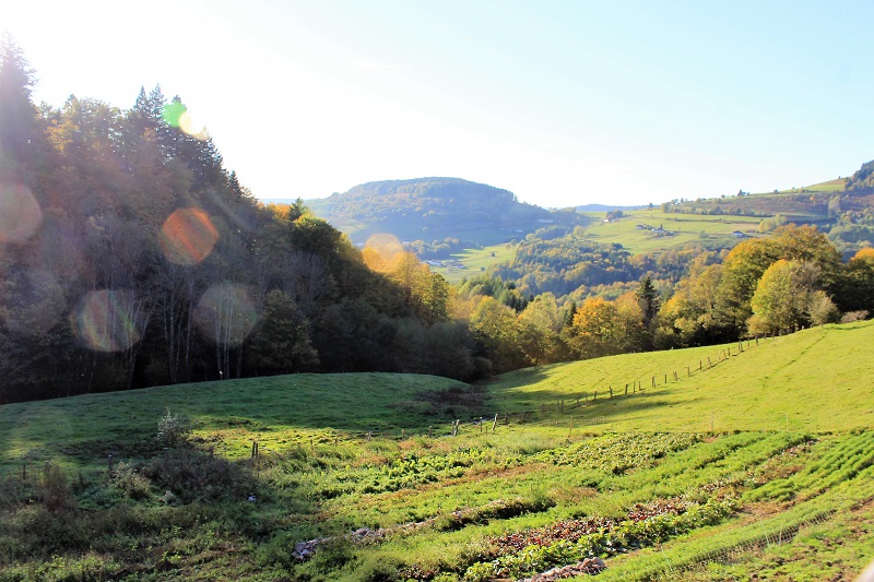 ferme-de-noiregoutte-fresse-sur-moselle-2.jpg