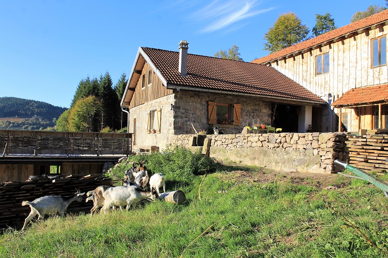 LA FERME DE NOIREGOUTTE FRESSE SUR MOSELLE