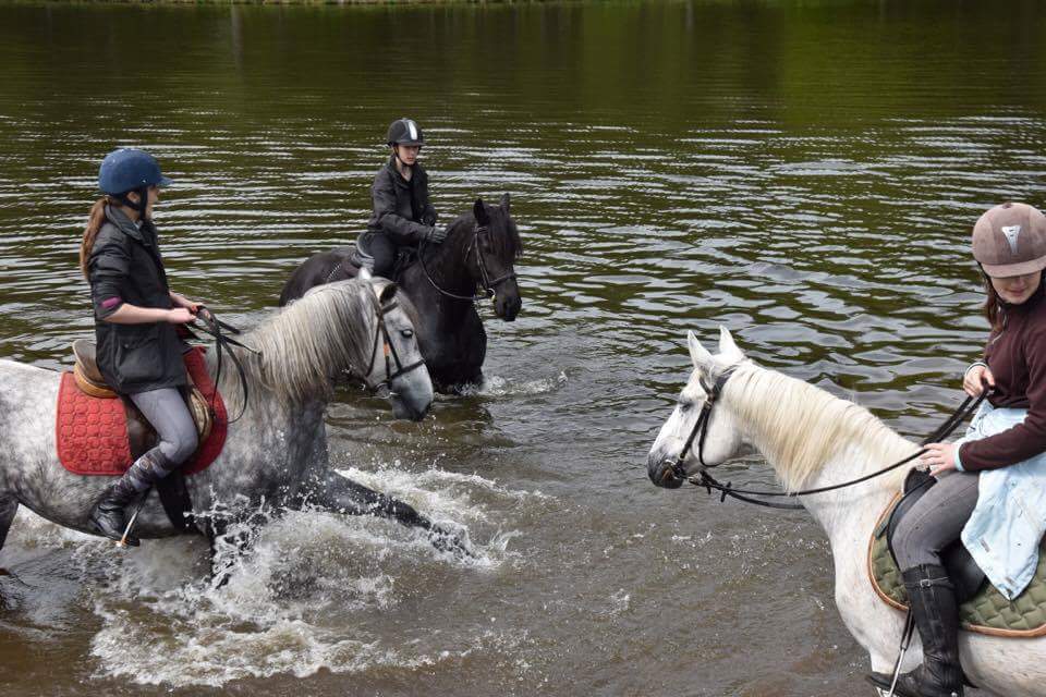 centre-equestre-la-jumenterie-saint-maurice-sur-moselle-6.jpg