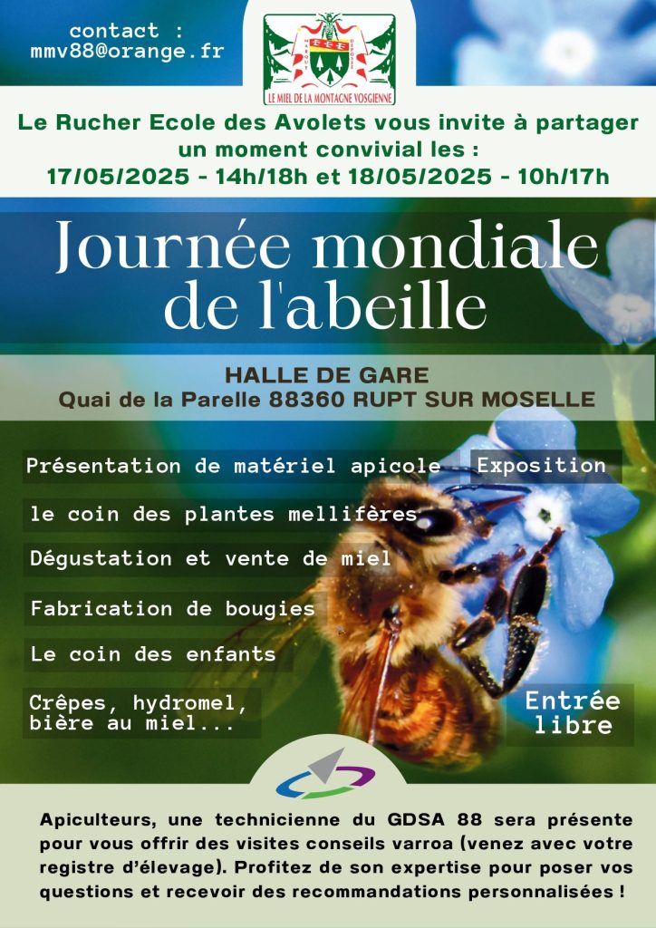 abeille-rupt-ecole-avolets.jpg