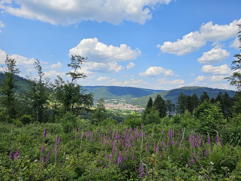 balade-mont-de-fourche-4.jpg