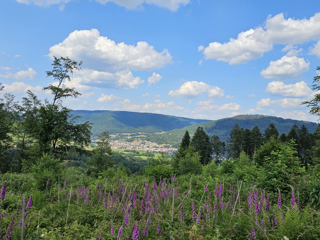 commune-de-rupt-sur-moselle-14.jpg